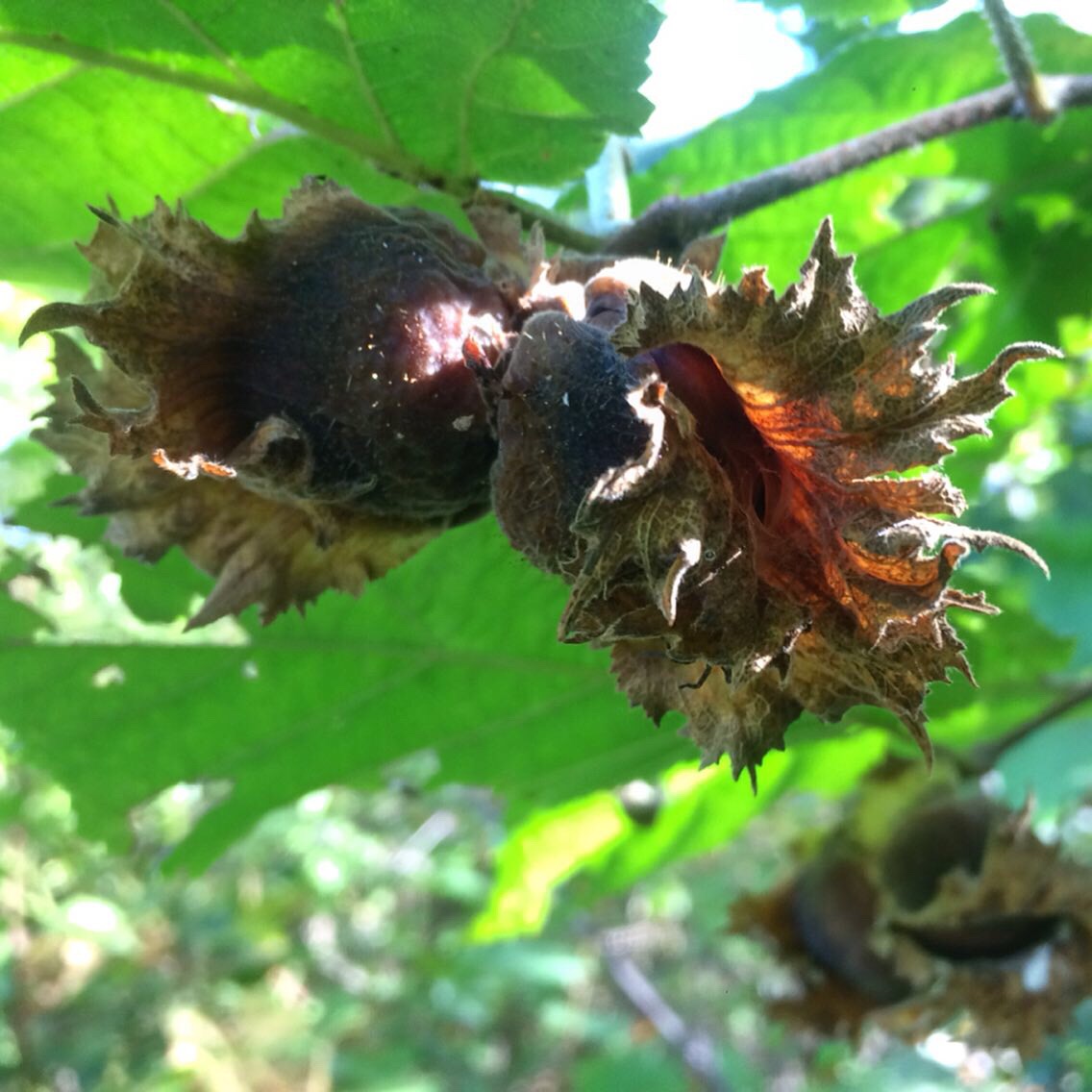 47C7B116-EE9A-4A1F-B6C9-1EF5B591DC2C