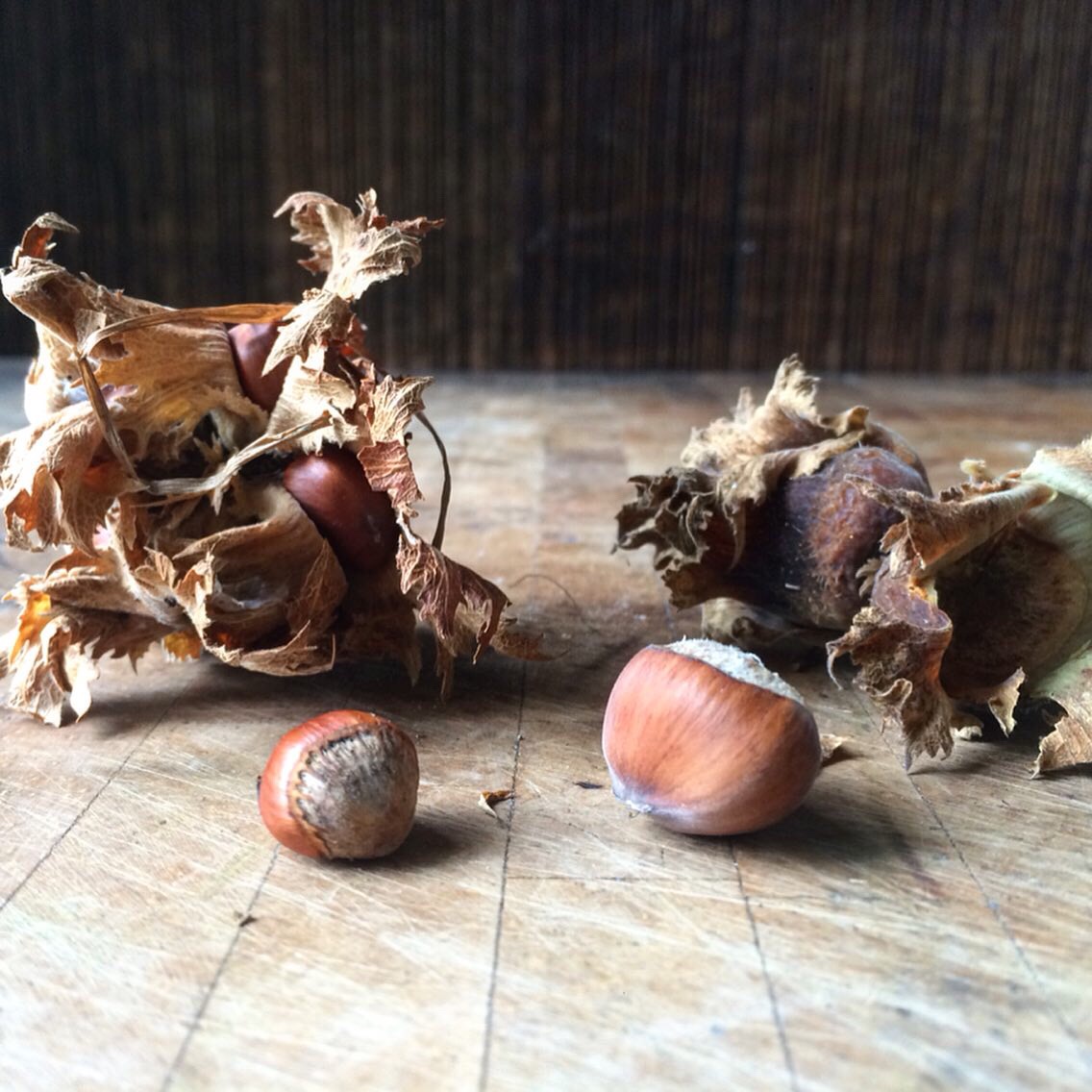 76C64882-1259-4022-9A5A-F2976C9D3E82