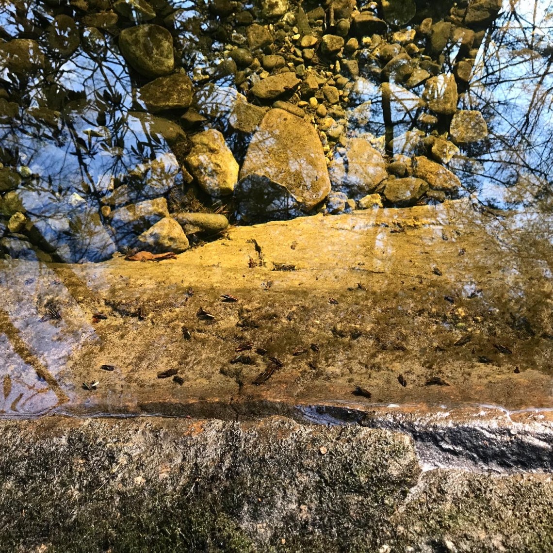 2483F3DC-E0AB-49FD-B9B2-F27580E82CC9