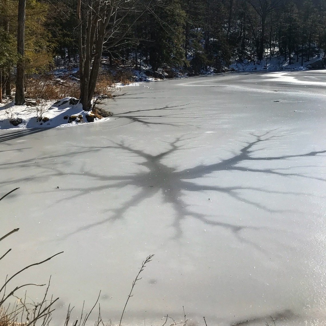 8E68B6F1-C7C7-4730-8C59-E07C3621CCB1