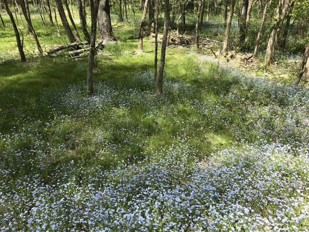 0425E54E-5E61-4BFD-812D-2D51C7E66650_1_105_c