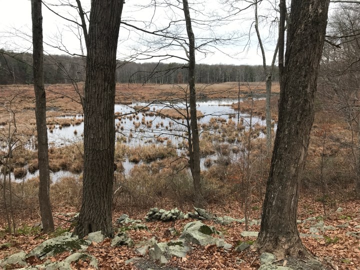 Pilgrimage for Truth