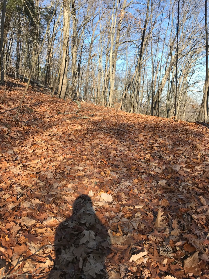 The Hills Are&nbsp;Alive